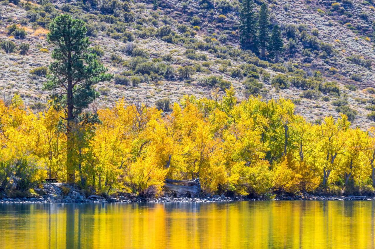 June Lake Motel ภายนอก รูปภาพ